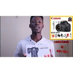 Компьютерная акустика Creative T100