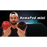 Умная колонка Apple HomePod Space Gray