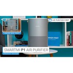 Очиститель воздуха Xiaomi Smartmi Air Purifier (KQJHQ01ZM)