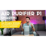 Очиститель воздуха Xiaomi Smartmi Air Purifier (KQJHQ01ZM)