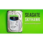 Жесткий диск Seagate SkyHawk 4 TB (ST4000VX013)