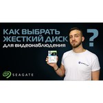 Жесткий диск Seagate SkyHawk 4 TB (ST4000VX013)