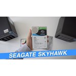 Жесткий диск Seagate SkyHawk 4 TB (ST4000VX013)