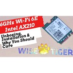 Сетевая карта Intel AX210.NGWG Wi-Fi 6E AX210 (Gig+), 2230, 2x2 AX R2 (6GHz)+BT, vPro, 999LWX