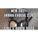 Jabra Гарнитура JABRA Evolve2 30, USB-A, MS Stereo (23089-999-979)