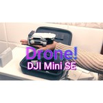 Квадрокоптер DJI Mini SE Fly More Combo