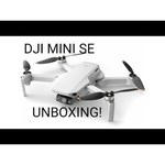 Квадрокоптер DJI Mini SE Fly More Combo