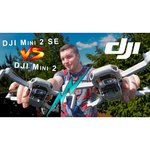 Квадрокоптер DJI Mini SE Fly More Combo