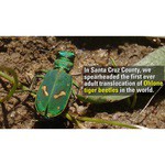 Ventura Велокомпьютер 11 функций 3- х строчный дисплей влагозащит. Новый дизайн черный VENTURA ХI