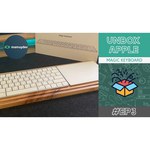 Клавиатура Apple Magic Keyboard (MK2A3RS/A)