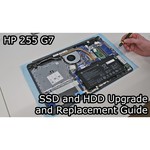 15.6" Ноутбук HP 255 G7 (1920x1080, AMD Ryzen 5 2.1 ГГц, RAM 8 ГБ, SSD 256 ГБ, DOS) обзоры