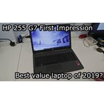 15.6" Ноутбук HP 255 G7 (1920x1080, AMD Ryzen 5 2.1 ГГц, RAM 8 ГБ, SSD 256 ГБ, DOS)