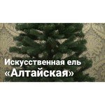 Green Trees Ель Алтайская