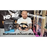 Sennheiser HD 25 (505969)