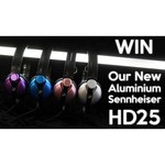 Sennheiser HD 25 (505969)