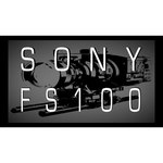 Sony NEX-FS100