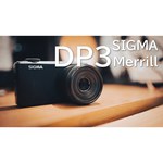 Sigma DP3 Merrill