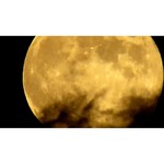 Canon PowerShot SX40