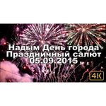 Panasonic Lumix DMC-FZ1000