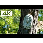 Panasonic Lumix DMC-FZ1000