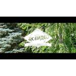 Panasonic Lumix DMC-FZ1000