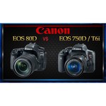 Canon EOS 750D Body