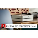 Bluesound PowerNode N150