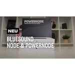 Bluesound PowerNode N150