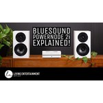 Bluesound PowerNode N150