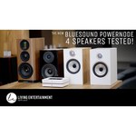 Bluesound PowerNode N150