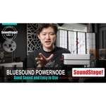 Bluesound PowerNode N150