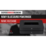 Bluesound PowerNode N150