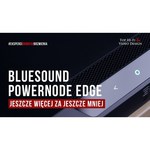 Bluesound PowerNode N150